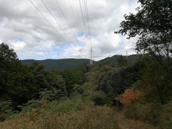 画像19